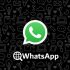 Download WhatsApp Web