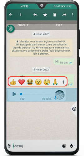 WhatsApp iOS Theme