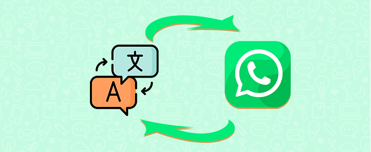 How to translate WhatsApp Messages Automatically?