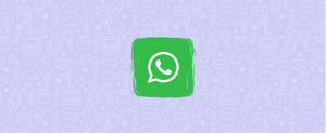 FM WhatsApp Ladda ner Apk 2022