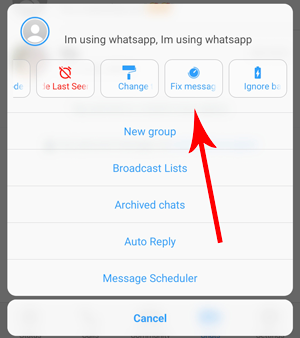 atualizar o WhatsApp do iOS