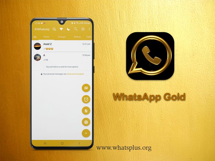 whatsapp gold 2024